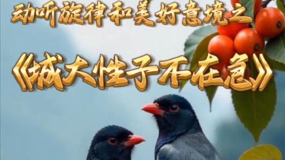 城大性子不在急