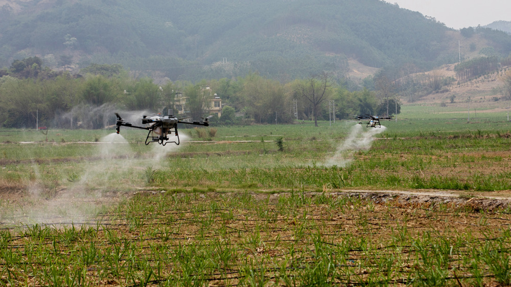 E99107016AA52A4C22C78DA4A55C108A