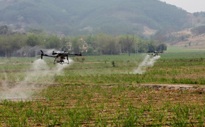 校企携手，科技助农：无人机助力甘蔗种植现代化