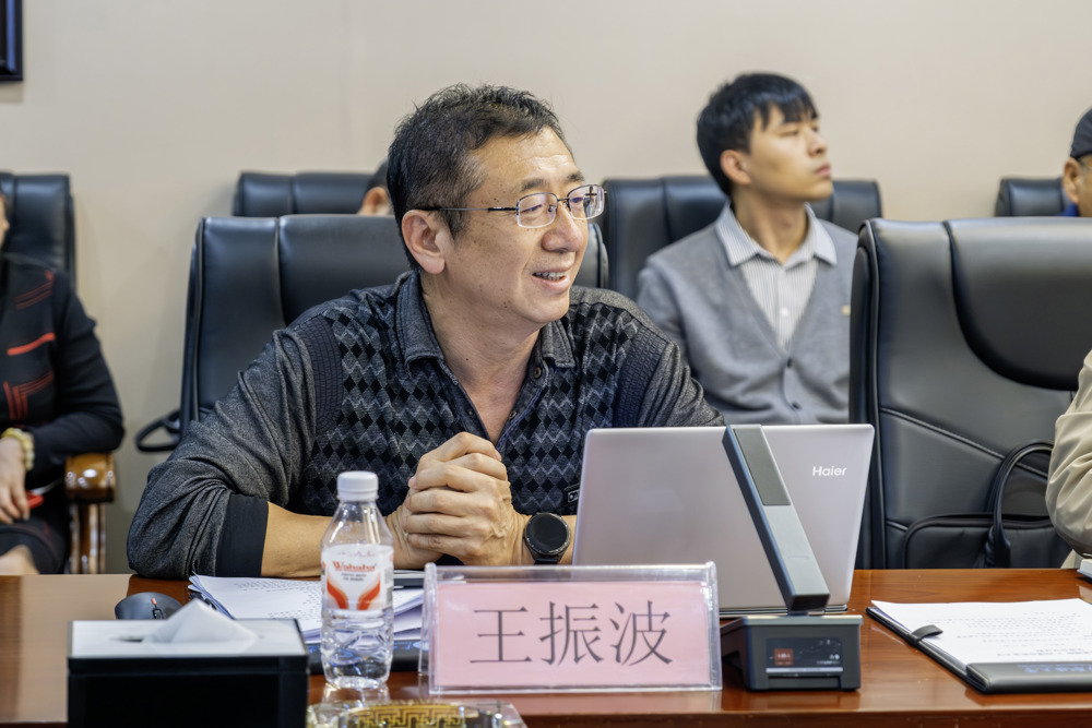 我校王振波教授发言