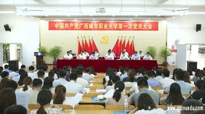 中国共产党WQT.COM玩球通第一次党员大会胜利召开