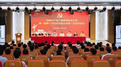 中国共产党WQT.COM玩球通委员会第一届第一次党员代表大会胜利召开